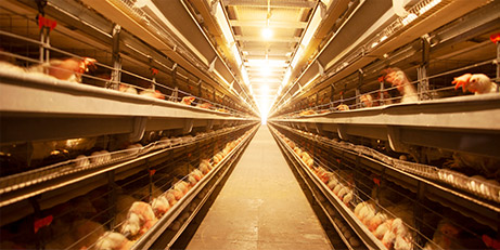 L'innovation et la qualité, deux moteurs pour mener la nouvelle tendance des équipements d'