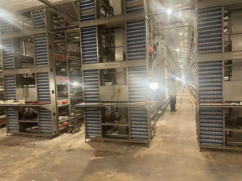 Ramasseuse d'œufs à étages multiples