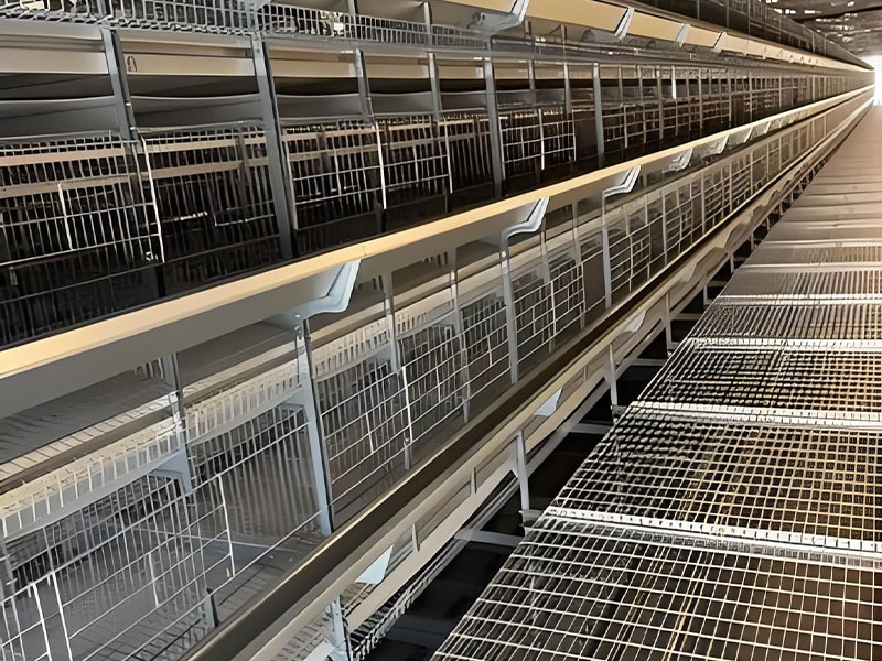 Cage en batterie superposée pour poules pondeuses