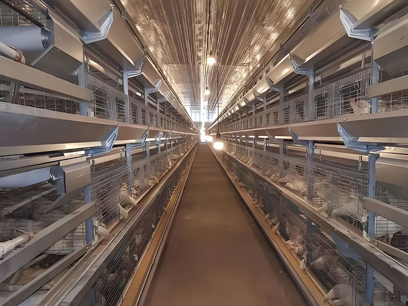 Cage en batterie superposée pour poules pondeuses